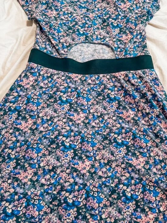 American Eagle OutfittersSize S (Petite) Casual Dress - Picture 2 of 2